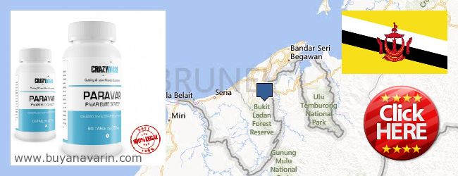 Hvor kan jeg købe Anavar online Brunei