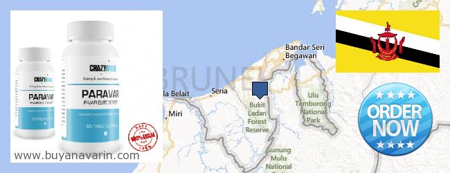 Nereden Alınır Anavar çevrimiçi Brunei